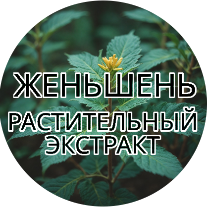 Женьшень